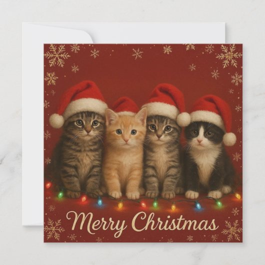 Carte de Noël avec de mignons chatons. (Devant)