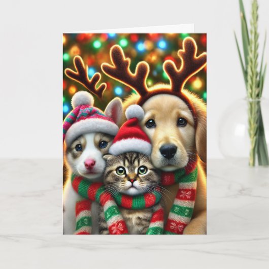 Carte de Noël avec deux chiens et un chat (Devant)