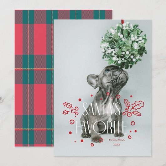 Carte de Noël avec photo de l'animal de compagnie (Devant / Derrière)