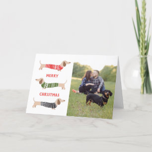 Carte de Noël avec photo drôle de chien teckel 