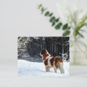 carte de Noël avec Saint Bernard enneigé (Debout devant)