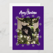 Carte de Noël avec tuxedo cat sur l'arbre. (Devant / Derrière)