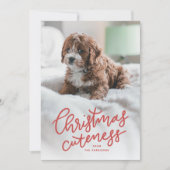 Carte de Noël avec un animal mignon (Devant)