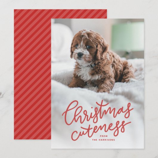 Carte de Noël avec un animal mignon (Devant / Derrière)