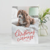 Carte de Noël avec un animal mignon (Debout devant)