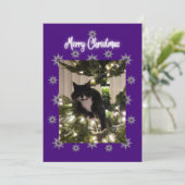 Carte de Noël avec un chat smoking sur l'arbre. (Debout devant)