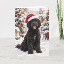 Carte de Noël avec un chien d'eau portugais noir