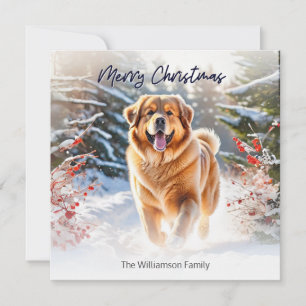Carte de Noël avec un chien Mastiff Tibétain dans