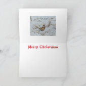 Carte de Noël avec un Faisan à Collier B22 dans la (Intérieur)
