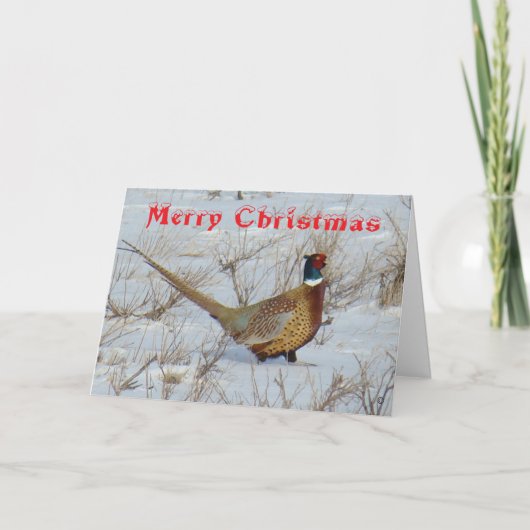 Carte de Noël avec un Faisan à Collier B22 dans la (Devant)
