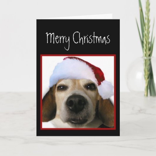 Carte de Noël beagle (Devant)