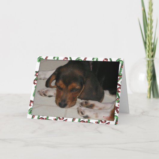 Carte de Noël beagle (Sleepy) (Devant)