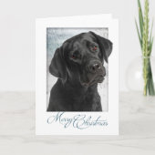 Carte de Noël Black Lab (Devant)