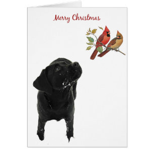 Carte de Noël Black Labrador