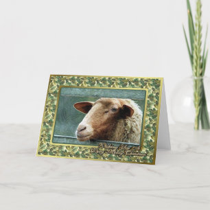 Carte de Noël blanche de l'agneau de mouton