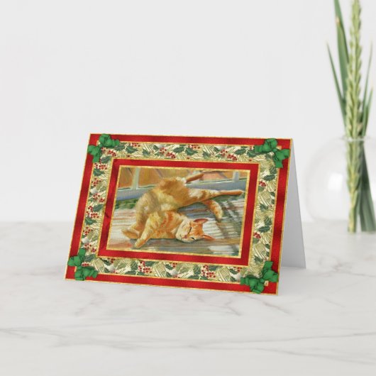 Carte de Noël blanche en tabby rouge (Devant)