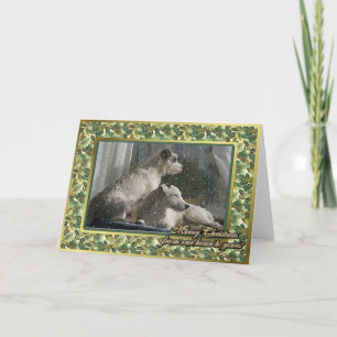 Carte de Noël blanche Jack Russell Terrier Dog