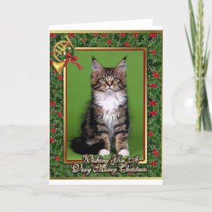 Carte de Noël blanche Maine Coon Kitten