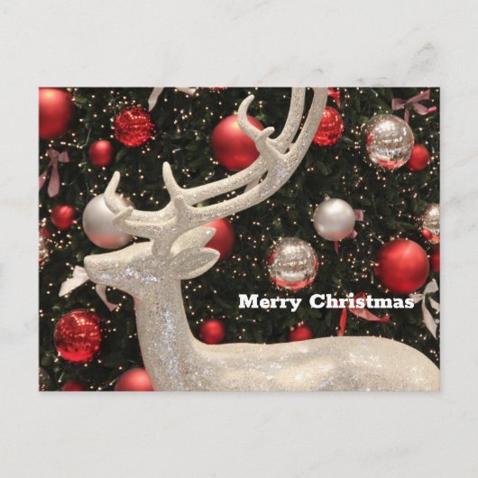 Carte de Noël blanche Sparkly Reindeer (Devant)