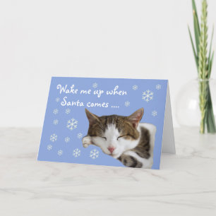Carte de Noël bleue Chat couché couché
