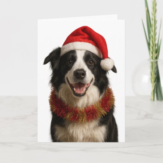 Carte de Noël Border Collie noir et blanc (Devant)