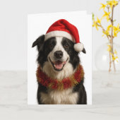 Carte de Noël Border Collie noir et blanc (Fleur jaune)