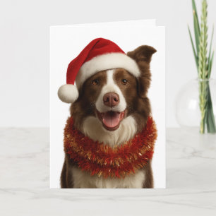Carte de Noël Border Collie rouge et blanc