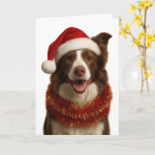 Carte de Noël Border Collie rouge et blanc (Fleur jaune)