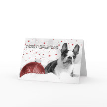 Carte de Noël Boston Terrier