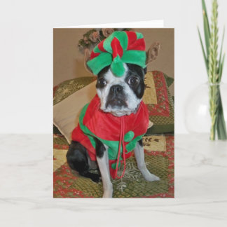 Carte de Noël Boston Terrier Elf