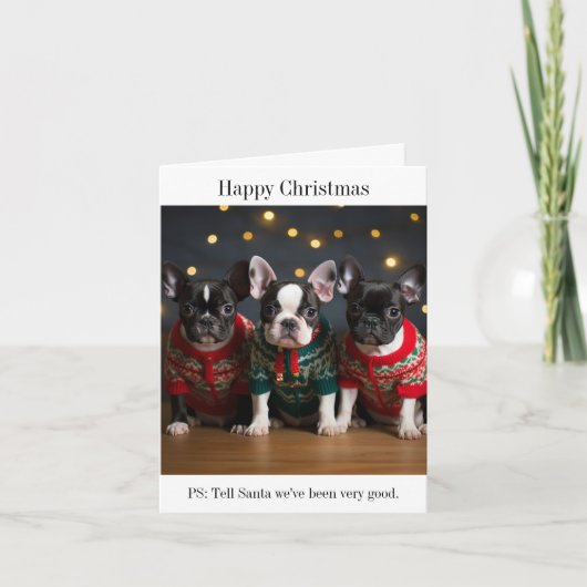 Carte de Noël Boston Terrier Puppies (Devant)