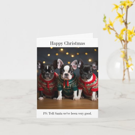 Carte de Noël Boston Terrier Puppies (Fleur jaune)