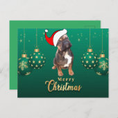 Carte de Noël Bouledogues français Christmas  (Devant / Derrière)