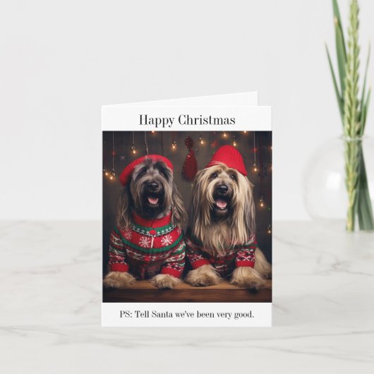 Carte de Noël Briard Dogs (Devant)