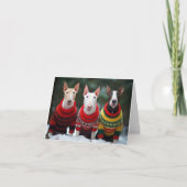 Carte de Noël Bull Terriers (Devant)