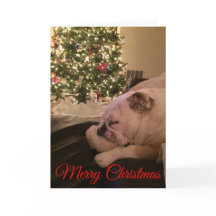 Carte de Noël Bulldog en anglais