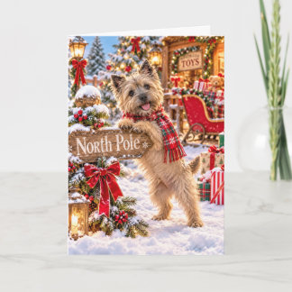 Carte de Noël Cairn Terrier Pôle Nord
