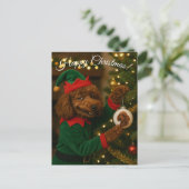 Carte de Noël caniche (Debout devant)