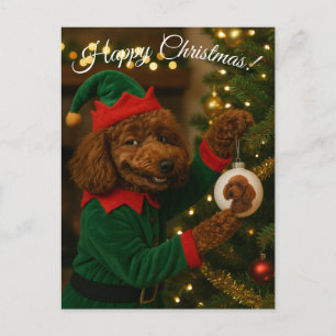 Carte de Noël caniche