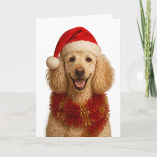 Carte de Noël Caniche