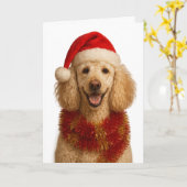 Carte de Noël Caniche (Fleur jaune)