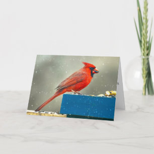 Carte de Noël Cardinal