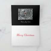 Carte de Noël cardinale de Milou (Intérieur)