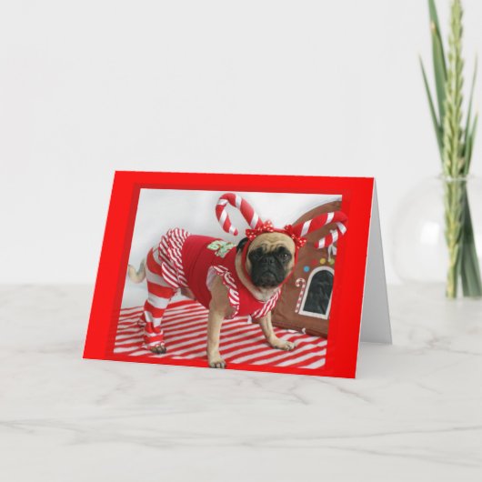 Carte de Noël carlin (Devant)