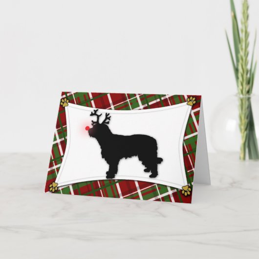 Carte de Noël Catalan Sheepdog Reindeer (Devant)