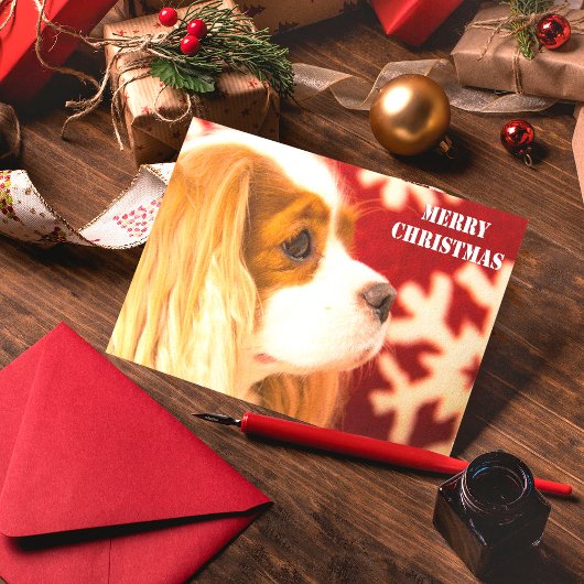 Carte de Noël Cavalier King Charles flocon de neig