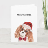 Carte de Noël Cavalier King Charles Spaniel (Devant)