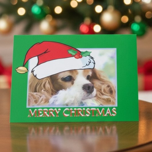 Carte de Noël Cavalier King Charles Spaniel