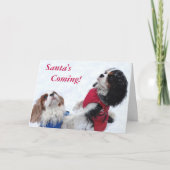 Carte de Noël Cavalier King Charles Spaniel (Devant)