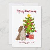 Carte de Noël Cavalier King Charles Spaniel (Devant)